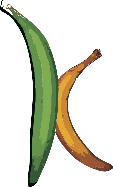 Kozhikodens Icon